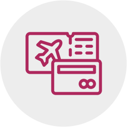 DOMESTIC LOUNGE ACCESS