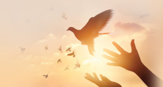 Gold Trust Savings Account