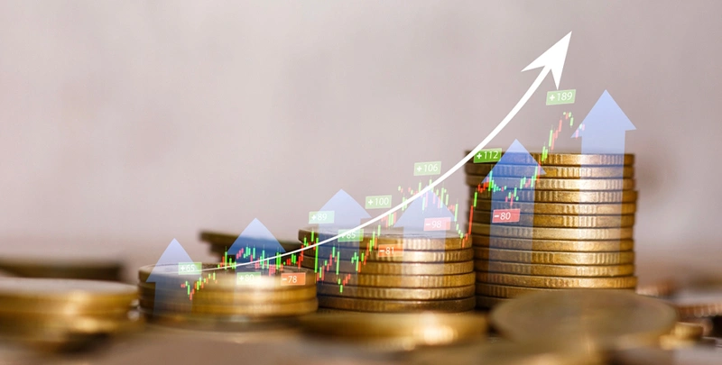 What are Specialized Investment Funds?