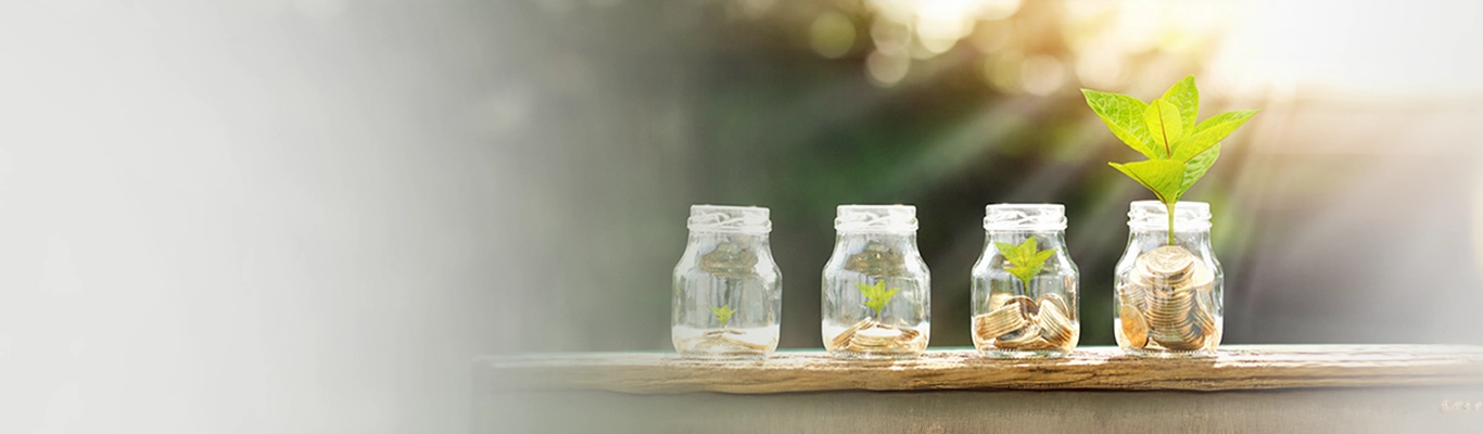 NRO Rupee Deposit NRO Rupee Deposit