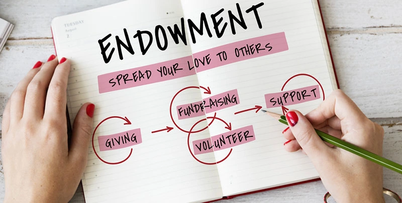 Endowment plans: Where insurance meets investment