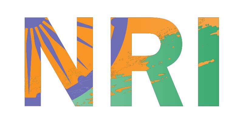 Understanding your NRI status and its impact