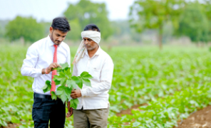 csr slider background csr slider background