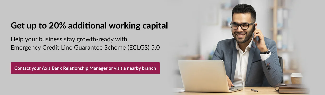 Emergency Credit Line Guarantee Scheme (ECLGS) 5.0