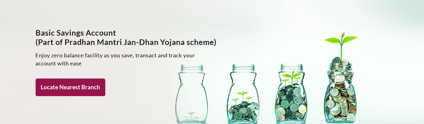 Basic Savings Account