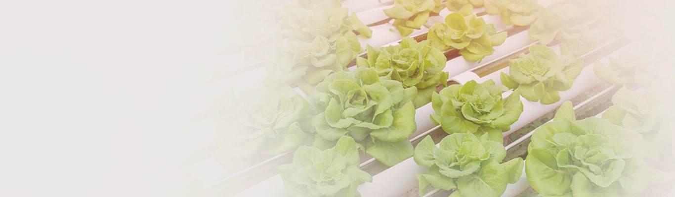 Loans for Horticulture Projects Loans for Horticulture Projects