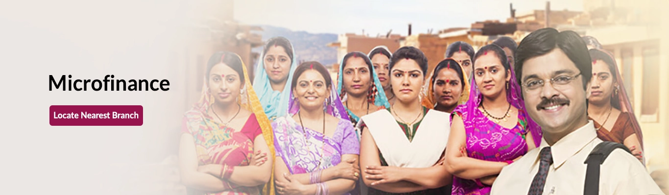 Microfinance - Loans to MFIs