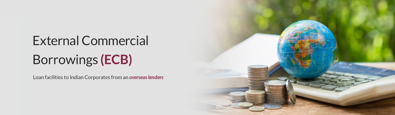 External Commercial Borrowings (ECB) External Commercial Borrowings (ECB)