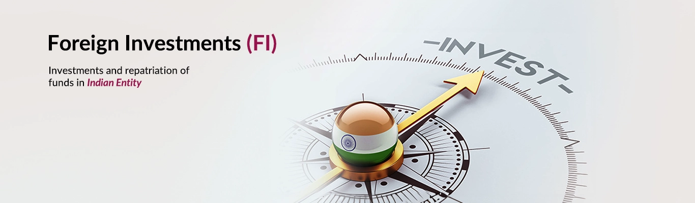 Foreign Investments (FI) Foreign Investments (FI)