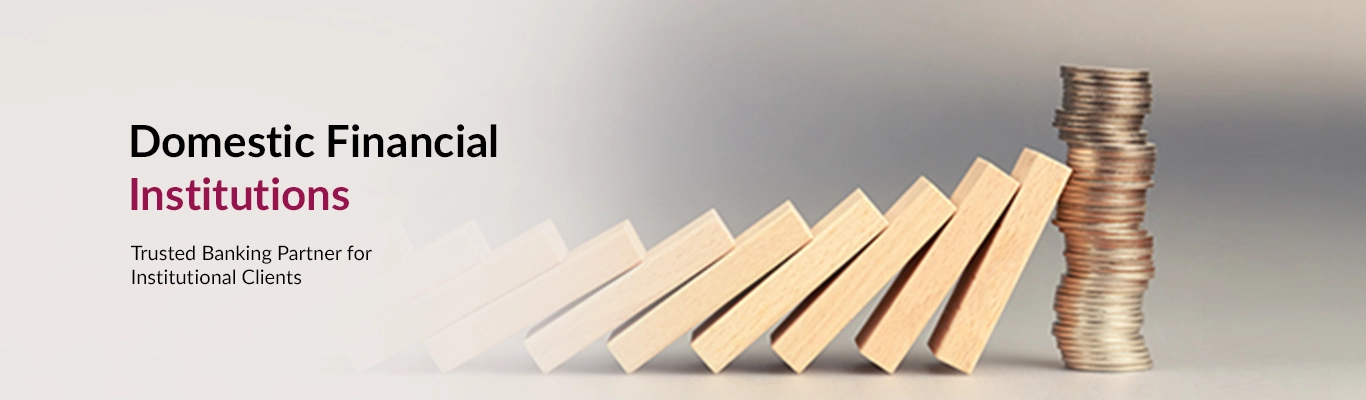 Domestic Financial Institutions Domestic Financial Institutions