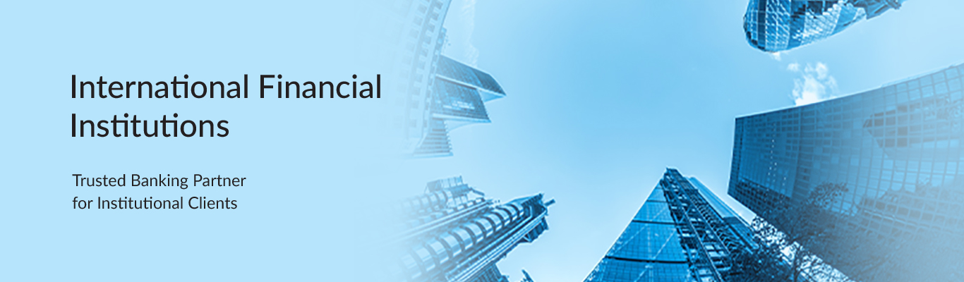 International Financial Institutions International Financial Institutions