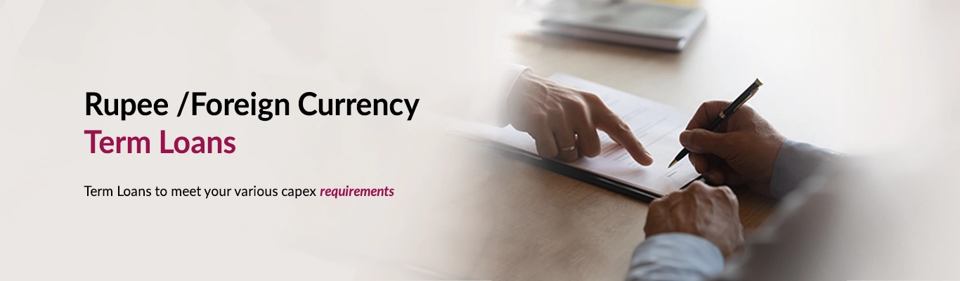 Rupee & Foreign Currency Term Loan Rupee & Foreign Currency Term Loan