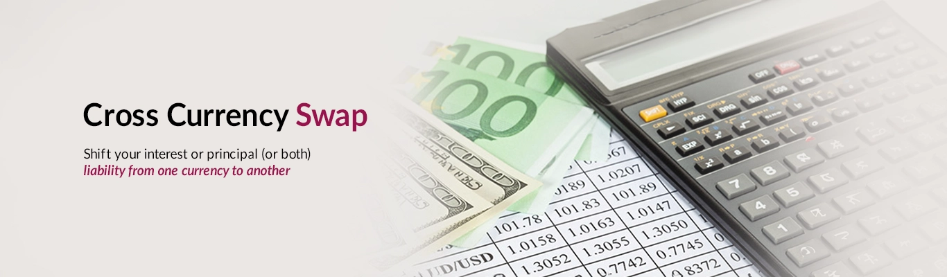 Cross Currency Swap Cross Currency Swap