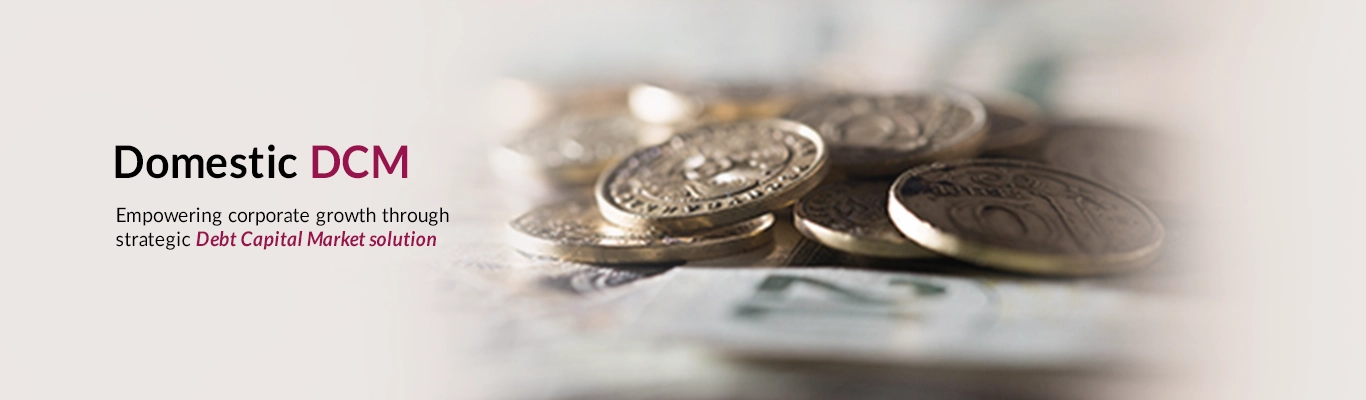 Domestic DCM Domestic DCM