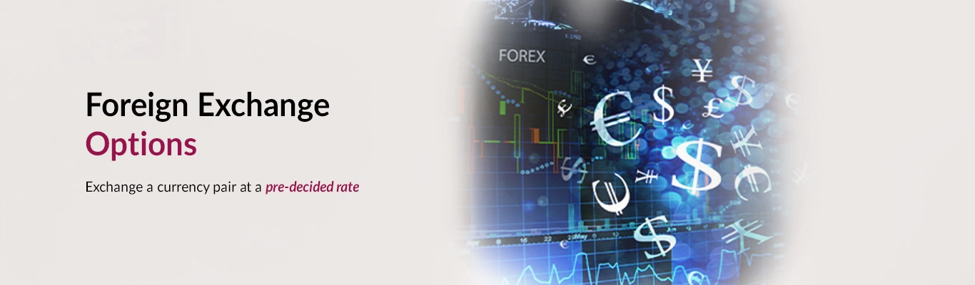 Foreign Exchange Options Foreign Exchange Options