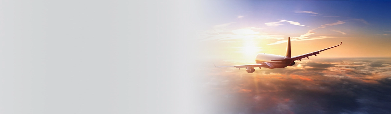 Silver Linings Program Silver Linings Program